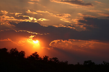 Fototapeta premium Sonnenuntergang - Krüger Park Südafrika / Sundown - Kruger Park South Africa /