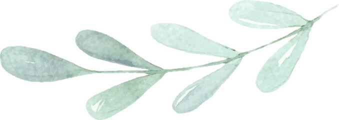 Green watercolor leaf illustration hand drawn