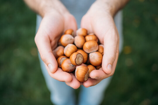 Hands with nuts