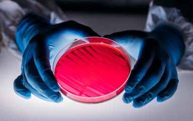 Lab researcher working with petri dishes