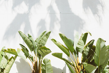 Costa Mesa Neighborhoods