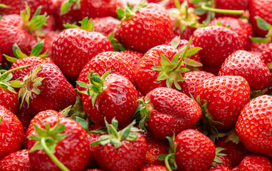 Ripe strawberries with green sepals. Background