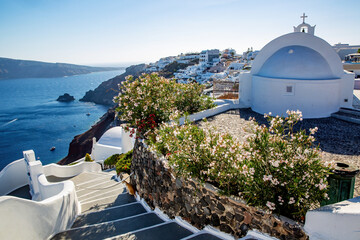 Santorini, Greece. Picturesque view of traditional Cycladic Santorini houses on small streets and stairways with flowers in the foreground.