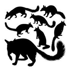 Silhouettes of numbat. Good use for symbol, logo, icon, mascot, sign, or any design you want.