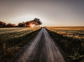 Feldweg Sonnenuntergang