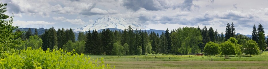 Panoramic view of a field leading up to the edge of a forest with Mt. Rainier in the background.
