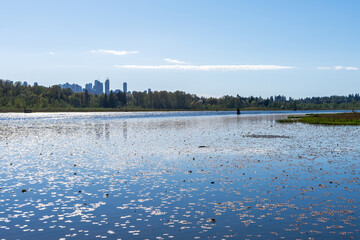 Burnaby Lake Regional Park. Burnaby, British Columbia, Canada.