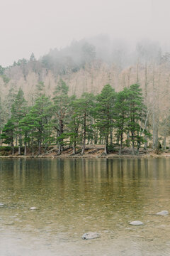 Morning fog with pine tree forest at Loch An Eileen, Scotland