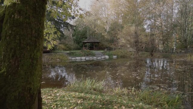 Pond and Gazebo in the forest