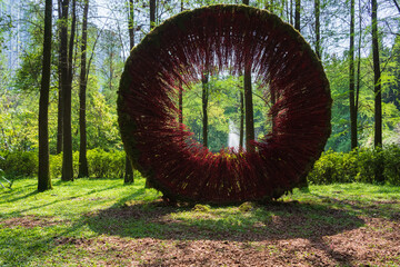 Forest fountain landscape in the park