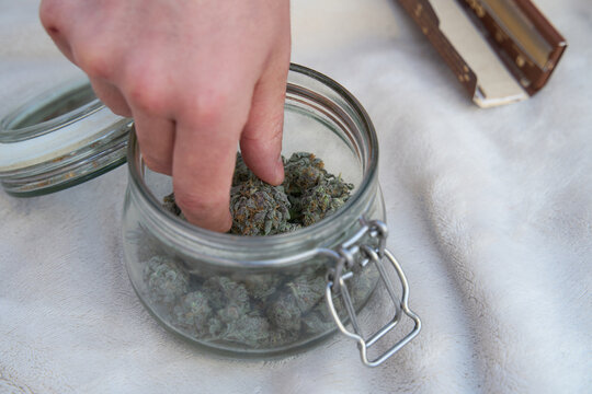 Man taking cannabis head from jar