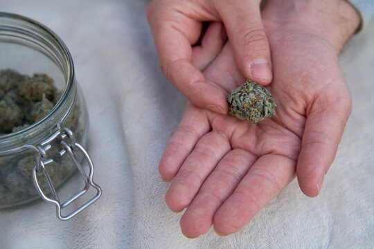 Man holding large cannabis bud in his hand