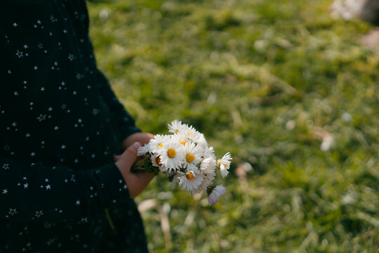 Little Girl Holding A Bouquet Of small daisies Flowers
