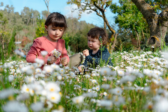 Little friends picking flowers in spring