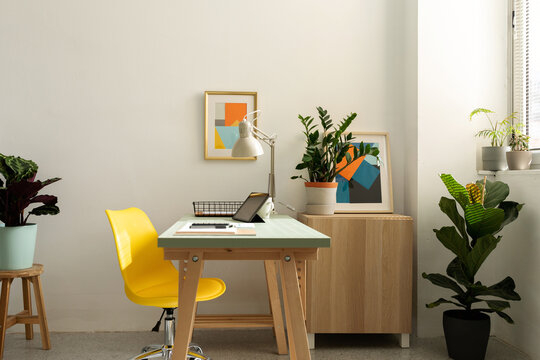 Colorful office interior design