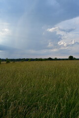 Fototapeta premium Cloudscape Over a Grassy Field