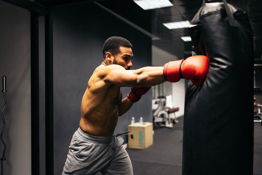 Boxer training with a punching bag