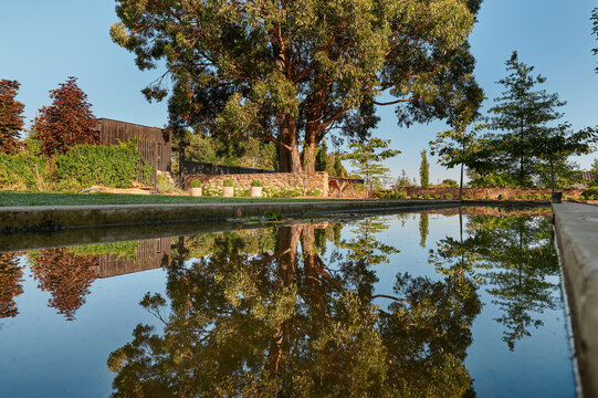 Landscaped Garden With Modern Moat As Water Feature