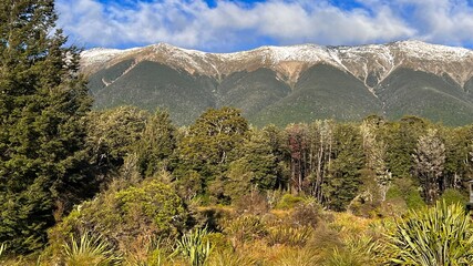 Nelson Lakes national park country