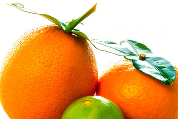 Close up of fresh citrus fruits with bright sun making a white background. 