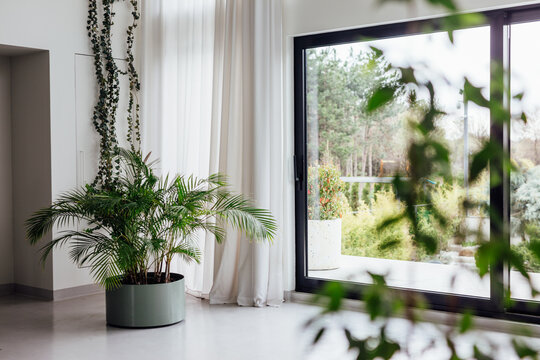 Bright room with plants