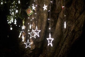 Closeup star lights hanging on old tree