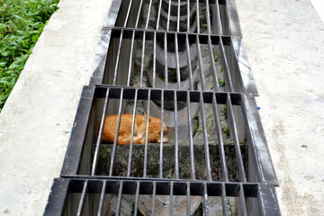 A lazy cat is sleeping in the drain 