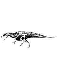 dinosaur svg bundle, dinosaur, t-rex svg, dinosaur png, trex svg, dinosaur shirt, Tyrannosaurus, Rex Dinosaur, Dinosaur Silhouette Svg png  © Sofiamastery