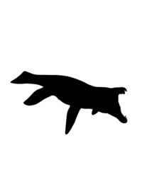 dinosaur svg bundle, dinosaur, t-rex svg, dinosaur png, trex svg, dinosaur shirt, Tyrannosaurus, Rex Dinosaur, Dinosaur Silhouette Svg png
