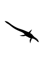 dinosaur svg bundle, dinosaur, t-rex svg, dinosaur png, trex svg, dinosaur shirt, Tyrannosaurus, Rex Dinosaur, Dinosaur Silhouette Svg png  © Sofiamastery