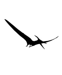 dinosaur svg bundle, dinosaur, t-rex svg, dinosaur png, trex svg, dinosaur shirt, Tyrannosaurus, Rex Dinosaur, Dinosaur Silhouette Svg png  © Sofiamastery