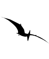 dinosaur svg bundle, dinosaur, t-rex svg, dinosaur png, trex svg, dinosaur shirt, Tyrannosaurus, Rex Dinosaur, Dinosaur Silhouette Svg png  © Sofiamastery