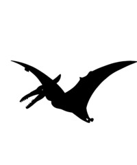 dinosaur svg bundle, dinosaur, t-rex svg, dinosaur png, trex svg, dinosaur shirt, Tyrannosaurus, Rex Dinosaur, Dinosaur Silhouette Svg png
