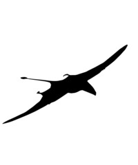 dinosaur svg bundle, dinosaur, t-rex svg, dinosaur png, trex svg, dinosaur shirt, Tyrannosaurus, Rex Dinosaur, Dinosaur Silhouette Svg png
