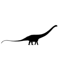 dinosaur svg bundle, dinosaur, t-rex svg, dinosaur png, trex svg, dinosaur shirt, Tyrannosaurus, Rex Dinosaur, Dinosaur Silhouette Svg png  © Sofiamastery