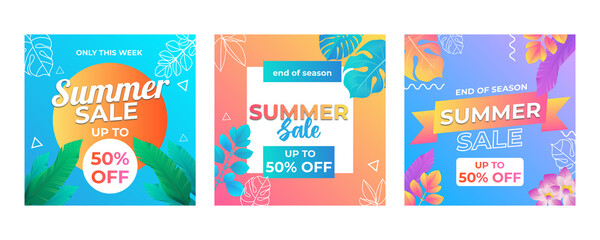 Summer sale design template with tropical leaves background