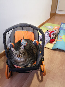 Fat cat in a baby hammock. UGC, user-generated content. 