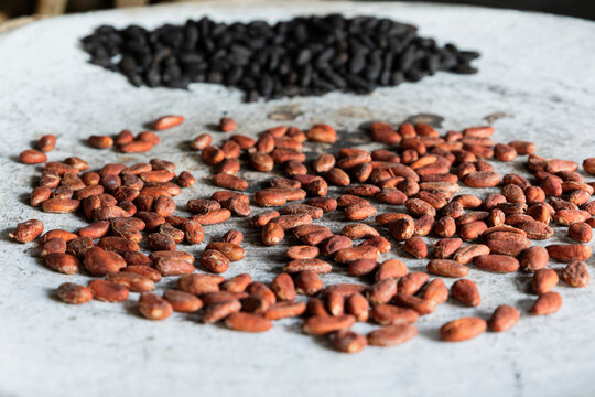 Closeup of dark and red cocoa beans roasting on a white comal