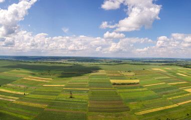 Aerial landscape view of green cultivated agricultural fields with growing crops on bright summer day