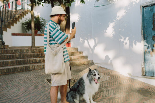 Bored dog waiting for his owner to stop using his phone