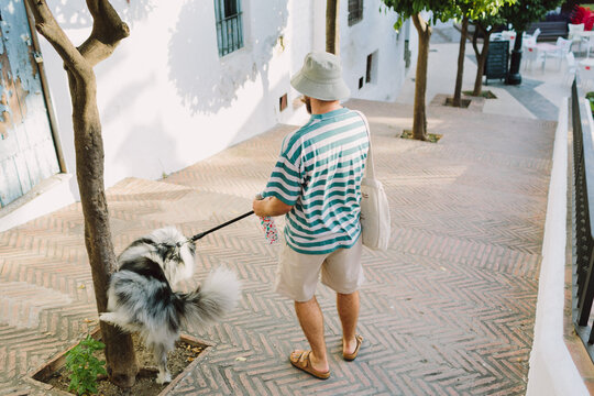 Dog peeing in a tree during his walk