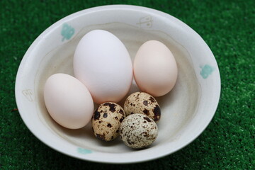 ニワトリとウズラとセラマの卵盛り合わせ