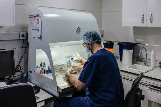 Male biologist working in IVF laboratory
