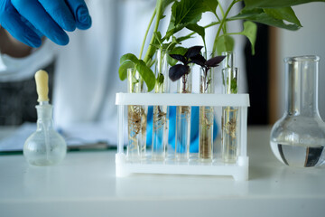cropped view of biochemist in latex gloves touching test tube with small plant, working with test tubes and plant samples while doing experiments in bio lab
