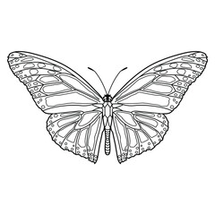 LINE ART STYLE VECTOR BUTTERFLY ILLUSTRATION