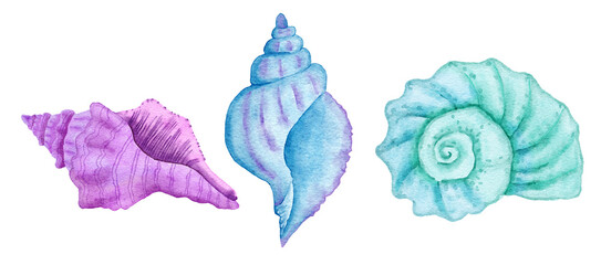 Watercolor illustration of shells, clam shell in blue turquoise purple colors, ocean sea underwater wildlife animals. Nautical summer beach design, coral reef life nature. © Marina Lahereva