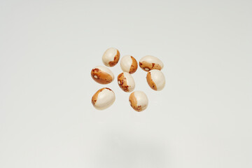This is a group shot of 