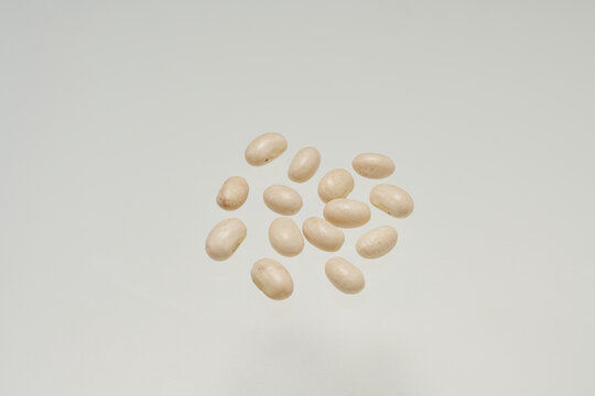 This is a group shot of "tebou (white beans)" from Hokkaido,Japan.