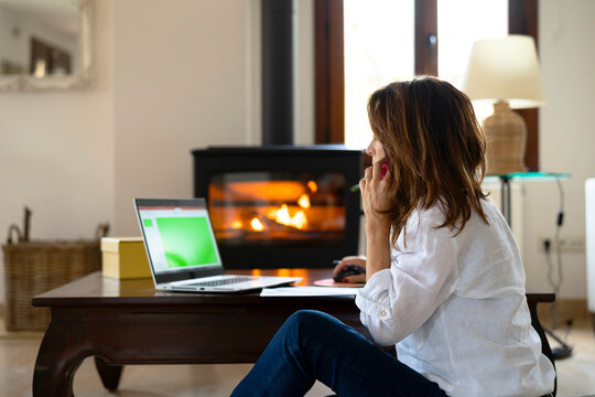 Female freelancer discussing project on laptop