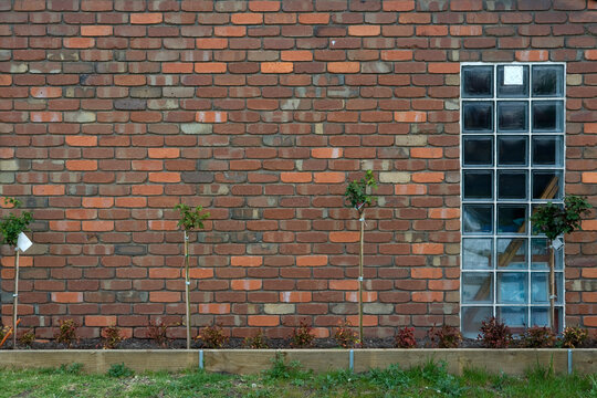 Fototapeta Wall bricks with glass bricks 